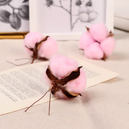 Sukhotzet "Cotton" D-5 cm, 5 cm, pink-2