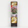 Lilac Meyer Patio Lux "Flaurfest Pink", 1 pc, tube, spring 2025