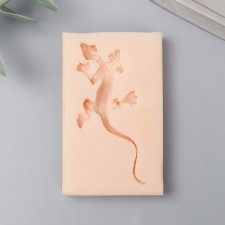 Silicone 