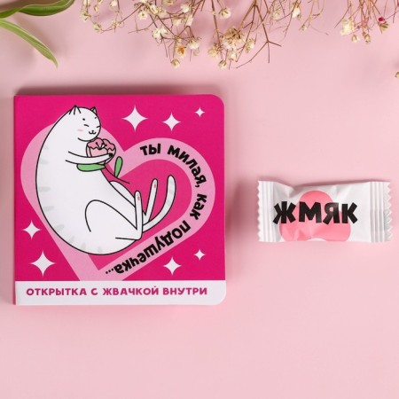 Chewing gum "You are sweet" in the postcard, taste: mint, without sugar, 1 pc. x 1.36 g.-1