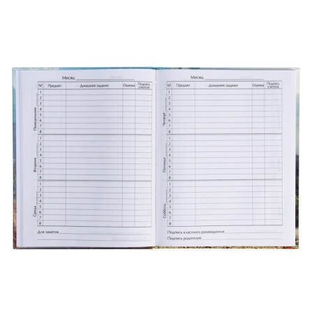Diary for grades 5-11, "Bear with glasses", solid cover 7BC, glossy lamination, 48 sheets-4