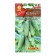 Seeds Cucumber "Our Boy", F1, 10 pcs