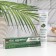 DAS Experten Coco Cannabis toothpaste, regenerating, 70 ml