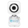 Camera OK-C8812 White 0.3MPIX (640x480) USB2.0 with a microphone