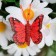 Butterflies for decor and floristry, on the clothespin, plastic, red, mix, 5 cm and 8 cm