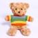 Soft toy "Bear in a T -shirt", Mix colors
