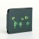 Wallet on the button, the color is green