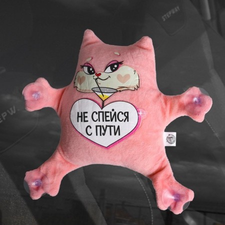 Auto -toe "Do not sleep from the way", cat, on suction cups-1
