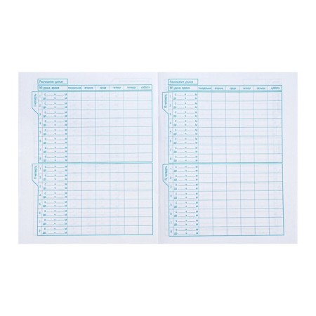 School diary for grades 1-11 Militari, cover of coated cardboard, 40 sheets-5
