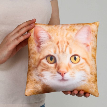 Antistress pillow "Ryzhik"-6