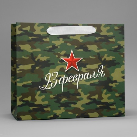 Gift Laminated Horizontal Package, Packaging, Zvezda, Ml 27 x 23 x 11.5 cm-1