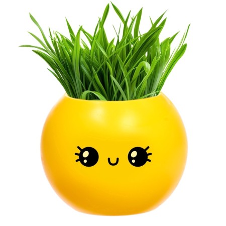 A set for experiments, for children “grow grass”, a plant in a pot - Emoji “dear”-4