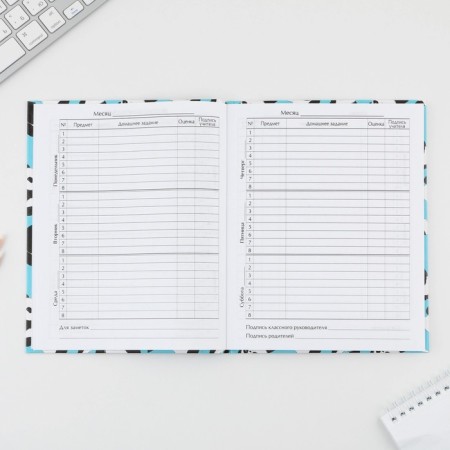 School Diary 5-11 Grade "September 1: Panda", solid cover 7BC, glossy lamination, 48 sheets-5