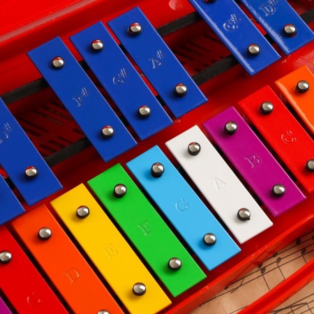 Musical tool Music Life, 25 tones, case, 2 sticks, red-2