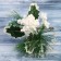 Decor "Winter Dreams" Stars of the Berry Leaflets, 18 cm