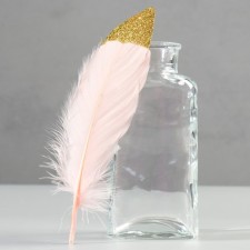 A set of feathers of the goose 15-20 cm, 10 pcs, pink with a golden crumb