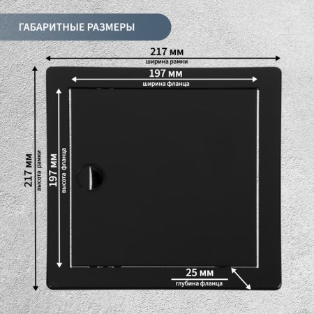 Revisionine Zein 2020lr, 200 x 200 mm, plastic, black-3