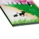 Notebook gift book on the castle, A6+, 48 sheets, line, "cat", mix