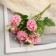 Bouquet "Hydrange Galant Lux" 25 cm, mix