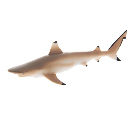 Figure "Rifting shark"