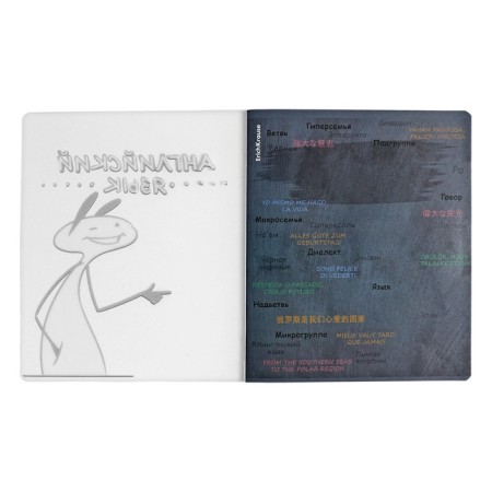 Subject notebook, 48 sheets, cage, English Erichkrause "Chubrik", plastic cover silkography, Blok Offset 100%, information block-2