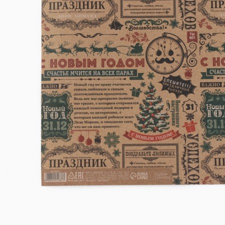 Paper Crafts "New Year's newspaper", 50 x 70 cm, New Year-3