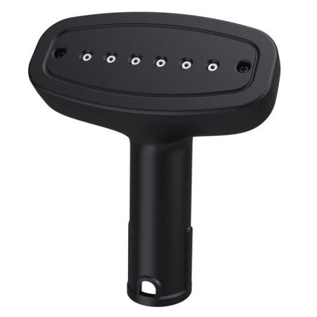 Bort Garment Steamer Brush steam cleaner