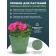 Kashpo for flowers and plants, 12l green grass 31x31x24.5cm