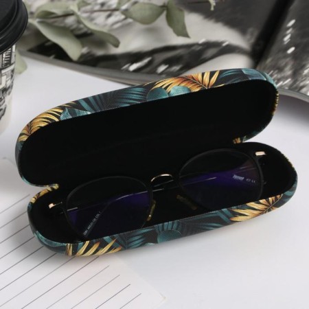 Case for the glasses "Shine"-1