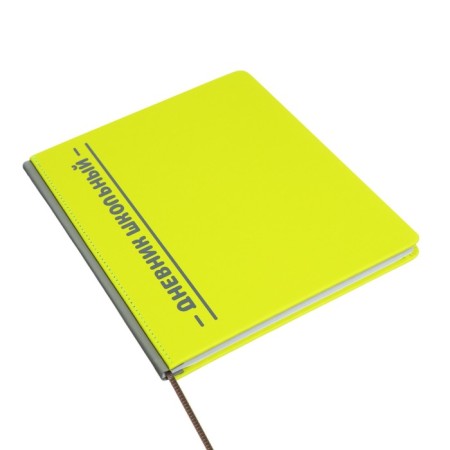 The universal diary for grades 1-11 is an excellent student, a solid cover made of artificial leather, silkography, lies, 48 ​​sheets, light green-1