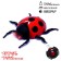 The beetle on the Radio Management "God's ladybug" crawls along the wall