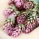 Flowers artificial "twig of hops" 45 cm, lilac