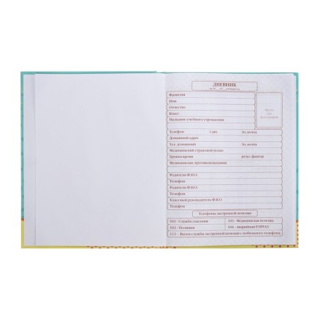 Diary for grades 1-4 Metoyou, hard cover, glossy lamination, 48 sheets-4