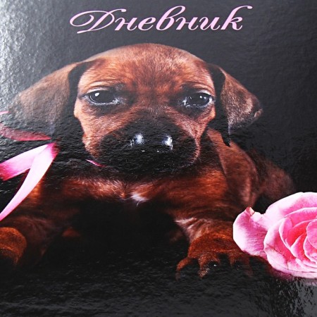 Universal diary for grades 1-11 I am looking for a mistress, hard cover, glossy lamination, 40 sheets-3