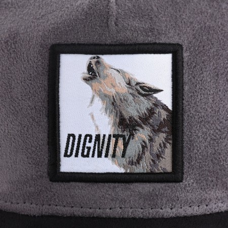 Men's cap with a DIGNITY grid, black color, rr 56-4