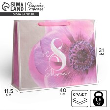 Package Gift Craft horizontal, packaging, “Magic holiday”, l 40 x 31 x 11.5 cm