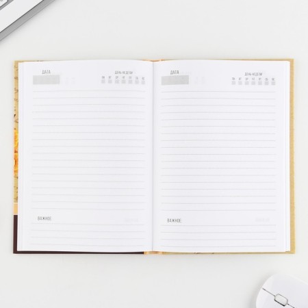 Diary in a gift box "Golden Teacher", A5 format, 80 sheets, solid cover-4