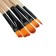 Set of brushes nylon 5 pieces: 1 round, 4 flat