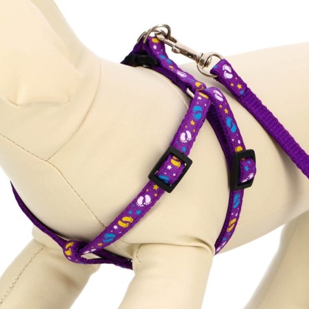 Set "Color Transes", leash 120 x 1 cm, fire 23-35 cm, purple-2