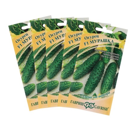 Cucumber cucumber cucumber F1, cornishon, early -grown, parthenocarpic, set of 5 pcs