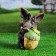 Garden figure "Boar with acorns" 28 cm