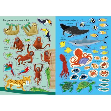 Animals-4