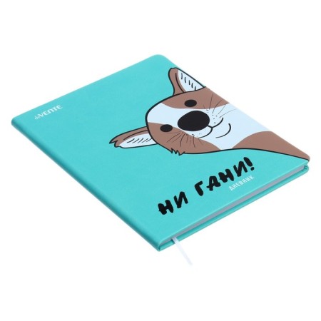 Universal diary for grade 1-11 "Noven Gani!", Firm cover, artificial leather, silkography, lies, 80 g/m2-1