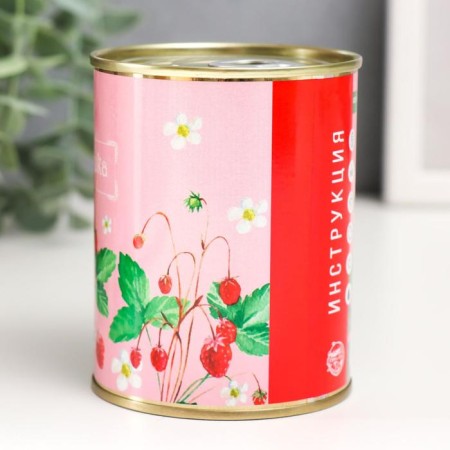 Growing gift grass "Strawberries"-1