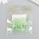 Beads for creativity Plastic "Hood" set 20 pcs green 1.3x1.3x0.5 cm