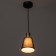 Iris chandelier 1x60W E27 Black 15x15x20 (100) cm