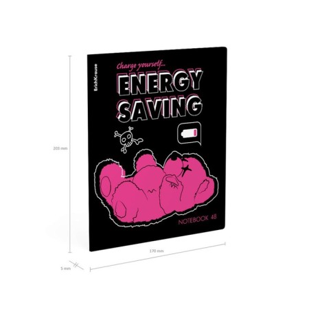 Notebook of 48 sheets in the Erichkrause "Low Battle", matte lamination, cover coated cardboard, offset unit, mix-11