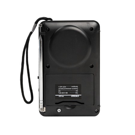 Radio "Signal" RP-222, 220 V, battery 400 mAh, USB, SD, display-1