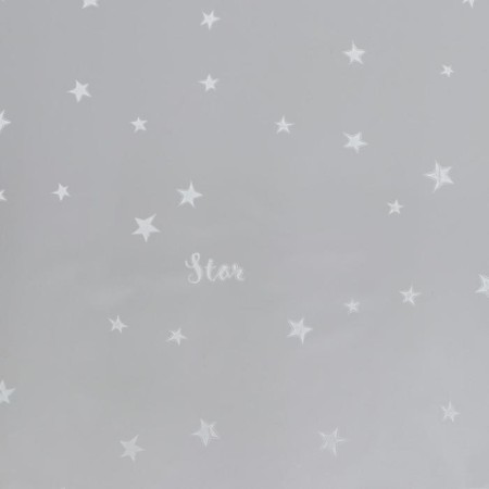 Flower Flower Flower Packing Glossy "Stars", silver, 1 x 5.2 m, 200 g-1