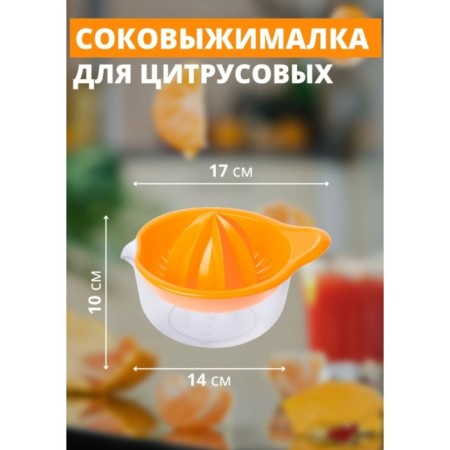 Соковыжималка для цитрусовых «Мадена», 300 мл, цвет МИКС-3
